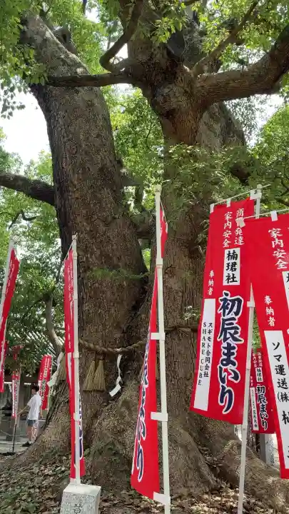 住吉大社の自然