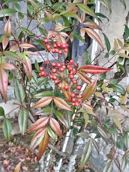 鹿島大神宮(福島県)