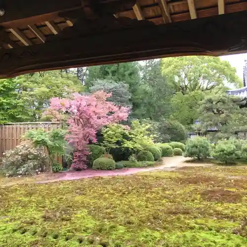隨心院（随心院）の自然