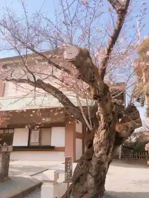 伊勢山皇大神宮のその他建物