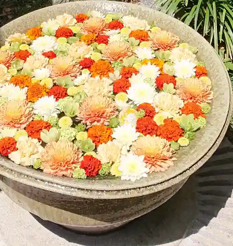 行田八幡神社の手水舎