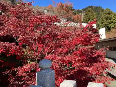 大山阿夫利神社(神奈川県)