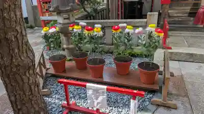 市比賣神社(京都府)