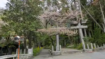 椎尾神社(大阪府)