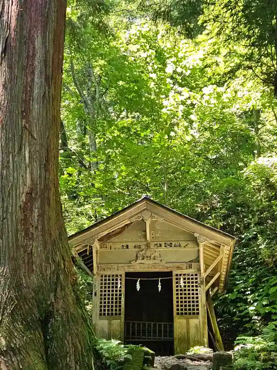戸隠神社奥社(長野県)