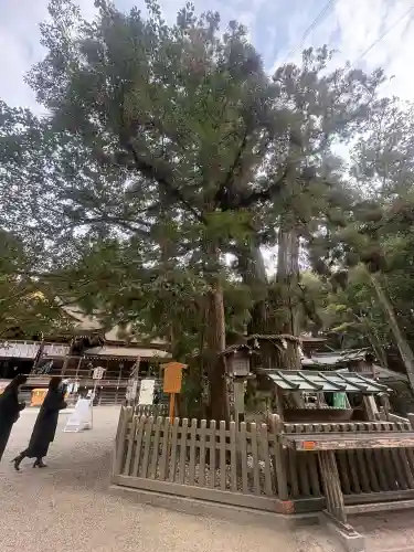 大神神社の{uncategorized: "未分類", other: "その他", undefined: "問題あり", building: "その他建物", grave: "お墓", sacred_gate: "鳥居", guardian: "狛犬", statue: "像", buddha: "仏像", history: "歴史", nature: "自然", garden: "庭園", animal: "動物", pagoda: "塔", temizu: "手水舎", mountain_gate: "山門・神門", sanctuary: "本殿・本堂", subordinate: "末社・摂社", art: "芸術", scenery: "景色", jizo: "地蔵", ema: "絵馬", goshuin: "御朱印", omikuji: "おみくじ", items: "授与品その他", amulet: "お守り", goshuincho: "御朱印帳", eats: "食事", festival: "お祭り", votive_dance: "神楽", shichigosan: "七五三参", wedding: "結婚式", experience: "体験その他", initially: "初詣", around: "周辺", anti_infection: "感染症対策"}