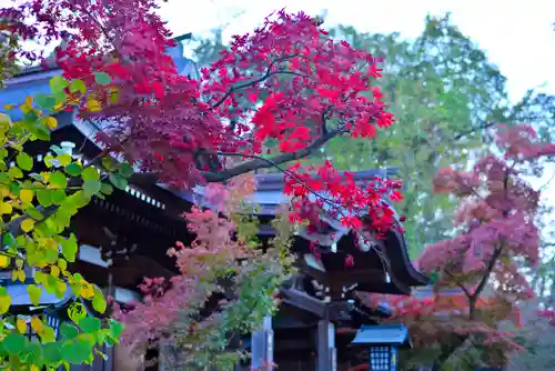 高幡不動尊　金剛寺(東京都)