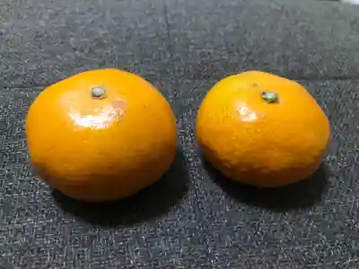 青岸渡寺(和歌山県)