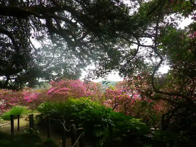 安養院 (田代寺)の自然
