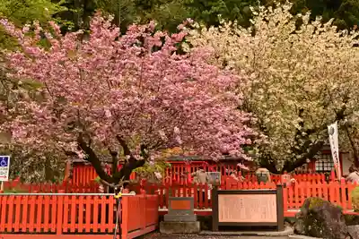 金櫻神社(山梨県)