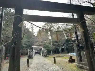 多奈閇神社の{uncategorized: "未分類", other: "その他", undefined: "問題あり", building: "その他建物", grave: "お墓", sacred_gate: "鳥居", guardian: "狛犬", statue: "像", buddha: "仏像", history: "歴史", nature: "自然", garden: "庭園", animal: "動物", pagoda: "塔", temizu: "手水舎", mountain_gate: "山門・神門", sanctuary: "本殿・本堂", subordinate: "末社・摂社", art: "芸術", scenery: "景色", jizo: "地蔵", ema: "絵馬", goshuin: "御朱印", omikuji: "おみくじ", items: "授与品その他", amulet: "お守り", goshuincho: "御朱印帳", eats: "食事", festival: "お祭り", votive_dance: "神楽", shichigosan: "七五三参", wedding: "結婚式", experience: "体験その他", initially: "初詣", around: "周辺", anti_infection: "感染症対策"}