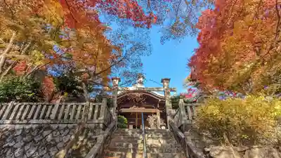 柳谷観音　楊谷寺(京都府)