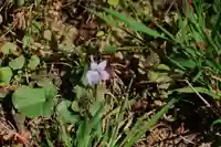 長屋神社の自然