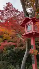 鍬山神社(京都府)