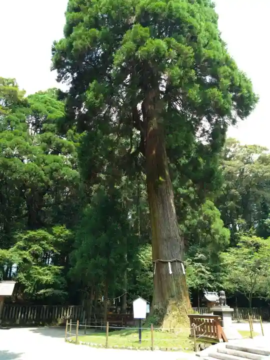 狭野神社(宮崎県)