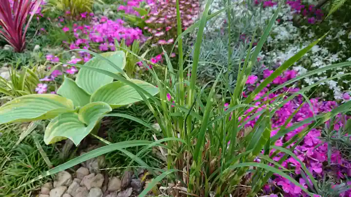 寿量山 速成寺の庭園