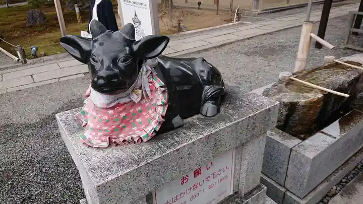 高台寺(高台寿聖禅寺・高臺寺)の狛犬