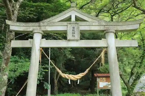 日枝神社の鳥居