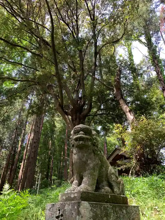 瀧口神社の狛犬