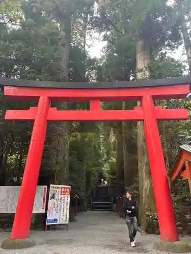 箱根神社(神奈川県)
