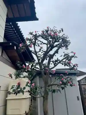 清源寺の{uncategorized: "未分類", other: "その他", undefined: "問題あり", building: "その他建物", grave: "お墓", sacred_gate: "鳥居", guardian: "狛犬", statue: "像", buddha: "仏像", history: "歴史", nature: "自然", garden: "庭園", animal: "動物", pagoda: "塔", temizu: "手水舎", mountain_gate: "山門・神門", sanctuary: "本殿・本堂", subordinate: "末社・摂社", art: "芸術", scenery: "景色", jizo: "地蔵", ema: "絵馬", goshuin: "御朱印", omikuji: "おみくじ", items: "授与品その他", amulet: "お守り", goshuincho: "御朱印帳", eats: "食事", festival: "お祭り", votive_dance: "神楽", shichigosan: "七五三参", wedding: "結婚式", experience: "体験その他", initially: "初詣", around: "周辺", anti_infection: "感染症対策"}