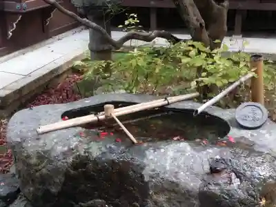 真正極楽寺(真如堂)の手水舎