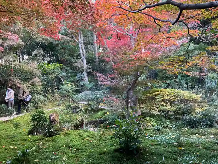 厭離庵(京都府)