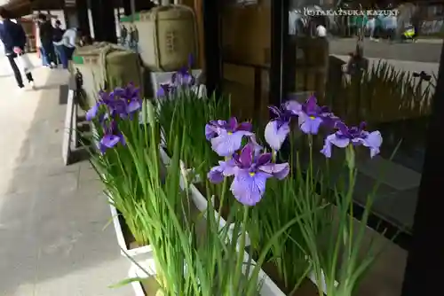 鹿島神宮(茨城県)