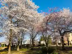 白山神社(新潟県)