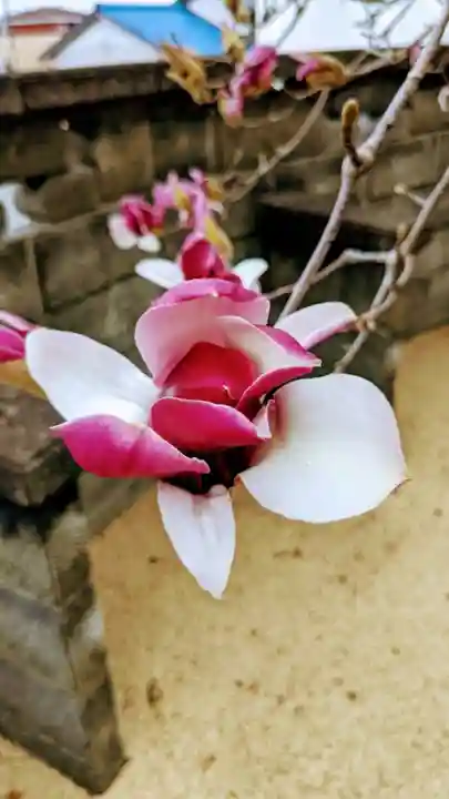 興昌寺(愛知県)