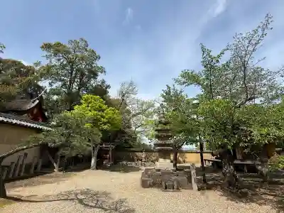 新薬師寺の{uncategorized: "未分類", other: "その他", undefined: "問題あり", building: "その他建物", grave: "お墓", sacred_gate: "鳥居", guardian: "狛犬", statue: "像", buddha: "仏像", history: "歴史", nature: "自然", garden: "庭園", animal: "動物", pagoda: "塔", temizu: "手水舎", mountain_gate: "山門・神門", sanctuary: "本殿・本堂", subordinate: "末社・摂社", art: "芸術", scenery: "景色", jizo: "地蔵", ema: "絵馬", goshuin: "御朱印", omikuji: "おみくじ", items: "授与品その他", amulet: "お守り", goshuincho: "御朱印帳", eats: "食事", festival: "お祭り", votive_dance: "神楽", shichigosan: "七五三参", wedding: "結婚式", experience: "体験その他", initially: "初詣", around: "周辺", anti_infection: "感染症対策"}