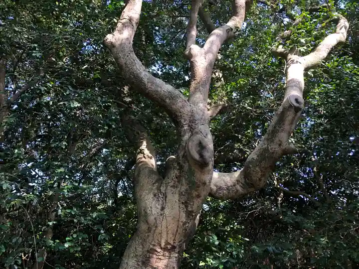 八幡宮のその他建物