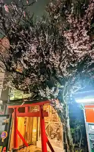 金蛇水神社(宮城県) 2023年04月01日(土)〜(2023年03月24日(金) 21時32分33秒投稿)