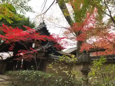 広徳寺の山門・神門