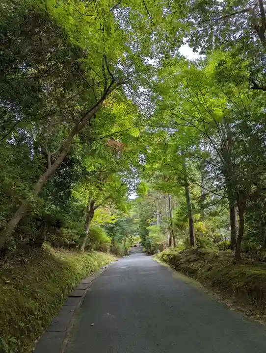 曼殊院門跡(京都府)