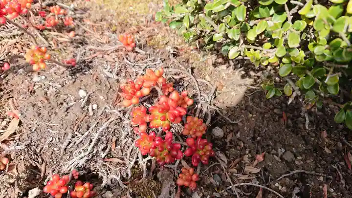 実円寺(静岡県)