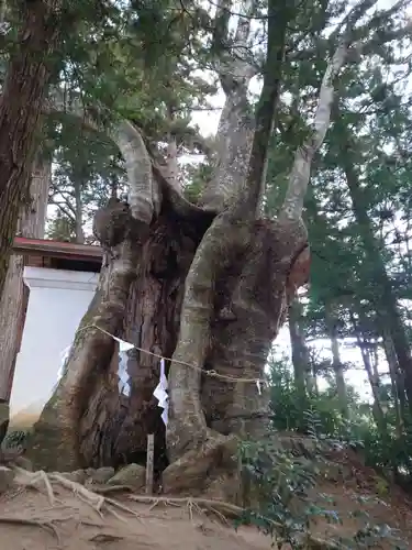 黒沼神社(福島県)