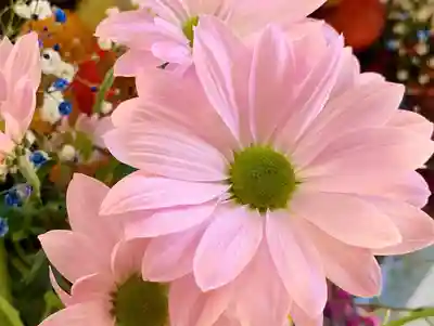 滑川神社 - 仕事と子どもの守り神の手水舎