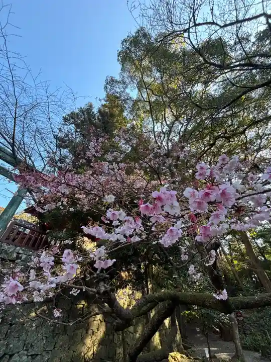 久能山東照宮の{uncategorized: "未分類", other: "その他", undefined: "問題あり", building: "その他建物", grave: "お墓", sacred_gate: "鳥居", guardian: "狛犬", statue: "像", buddha: "仏像", history: "歴史", nature: "自然", garden: "庭園", animal: "動物", pagoda: "塔", temizu: "手水舎", mountain_gate: "山門・神門", sanctuary: "本殿・本堂", subordinate: "末社・摂社", art: "芸術", scenery: "景色", jizo: "地蔵", ema: "絵馬", goshuin: "御朱印", omikuji: "おみくじ", items: "授与品その他", amulet: "お守り", goshuincho: "御朱印帳", eats: "食事", festival: "お祭り", votive_dance: "神楽", shichigosan: "七五三参", wedding: "結婚式", experience: "体験その他", initially: "初詣", around: "周辺", anti_infection: "感染症対策"}