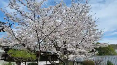松山神社(愛媛県)