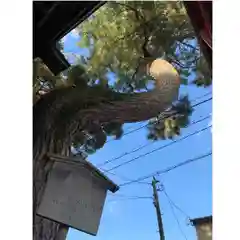 犀川神社の自然