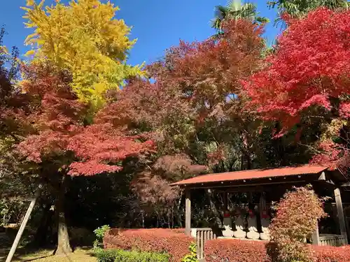 天翁院の山門