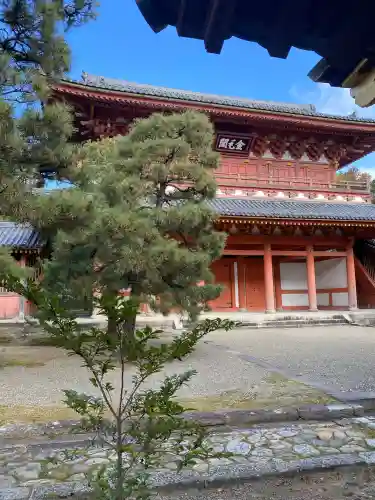 大徳寺の{uncategorized: "未分類", other: "その他", undefined: "問題あり", building: "その他建物", grave: "お墓", sacred_gate: "鳥居", guardian: "狛犬", statue: "像", buddha: "仏像", history: "歴史", nature: "自然", garden: "庭園", animal: "動物", pagoda: "塔", temizu: "手水舎", mountain_gate: "山門・神門", sanctuary: "本殿・本堂", subordinate: "末社・摂社", art: "芸術", scenery: "景色", jizo: "地蔵", ema: "絵馬", goshuin: "御朱印", omikuji: "おみくじ", items: "授与品その他", amulet: "お守り", goshuincho: "御朱印帳", eats: "食事", festival: "お祭り", votive_dance: "神楽", shichigosan: "七五三参", wedding: "結婚式", experience: "体験その他", initially: "初詣", around: "周辺", anti_infection: "感染症対策"}