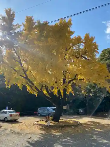 本居宣長ノ宮の自然