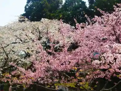 三宝院（三宝院門跡）(京都府)