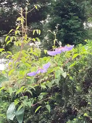 法住寺(長野県)