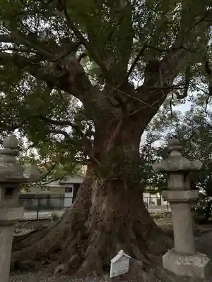 伊久比売神社(和歌山県)