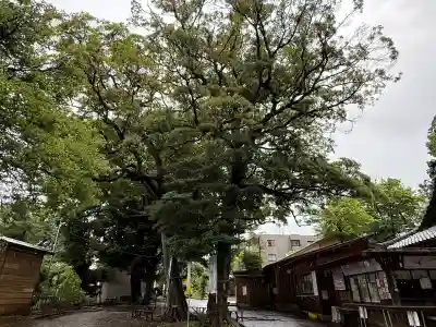 大宮・大原神社(千葉県)