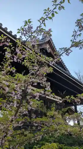 頂妙寺(京都府)