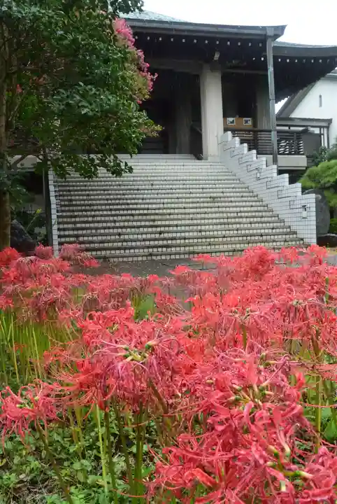宝蔵院(東京都)